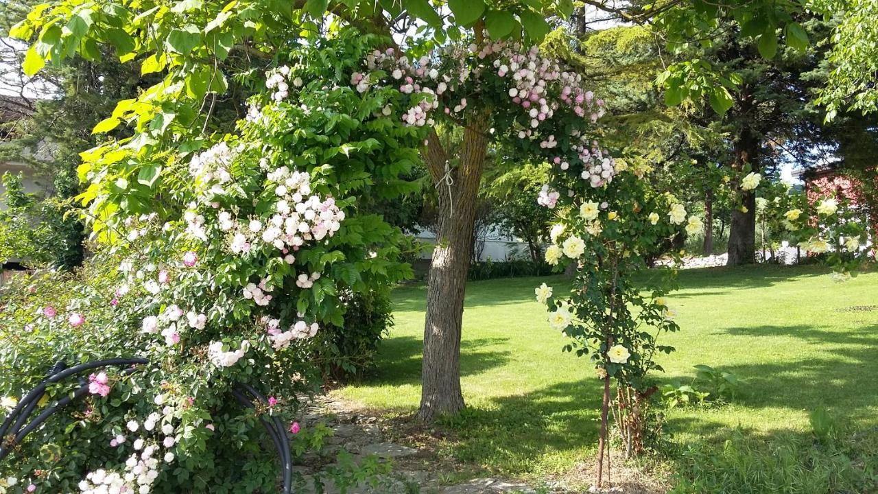B&B Casa Di Laura Беневенто Экстерьер фото